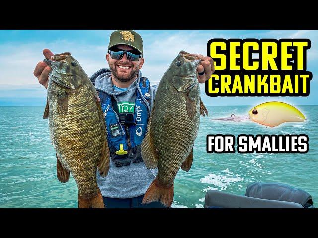 SECRET Crankbait Pros Don’t Want You To Know About (Big Smallies)