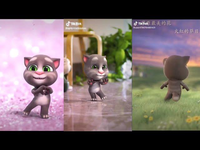 Tổng hợp tik tok cute của mèo tom|Tổng hợp tik tok cute part 2