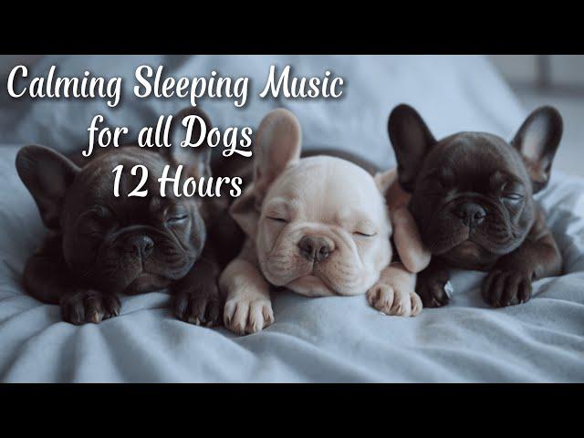 Calming Sleeping Music for all Dogs  | 12 Hours of Healing Frequencies and Sounds