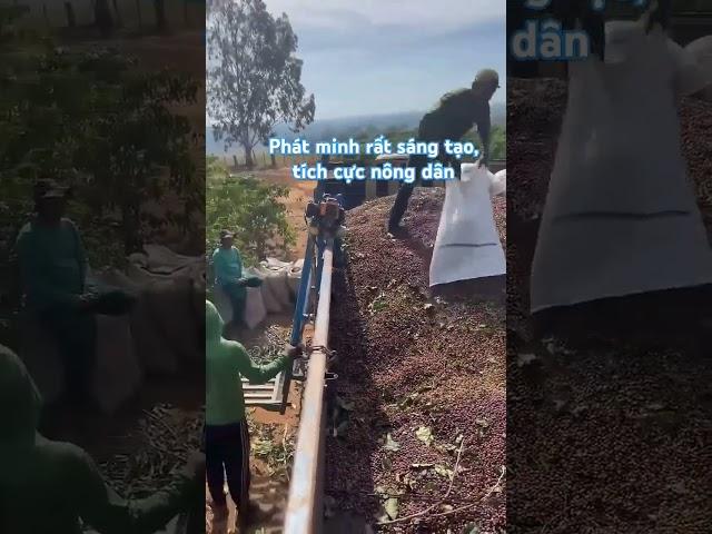 Phát minh sáng tạo từ nông dân khi thu cà phê #shorts
