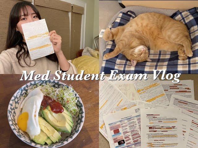 (eng) 미국 의대생 시험기간 72HR Vlog ️/Korean-American Med Student 72HR Exam Vlog/집에서만 공부하는 방법/Daily Vlog