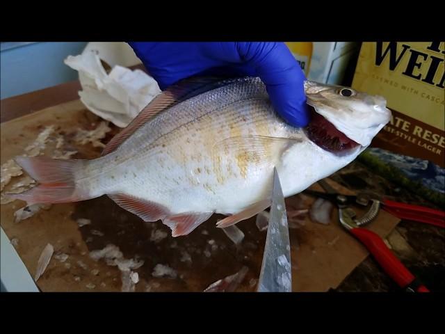 How to clean a whole fish - how to scale a fish