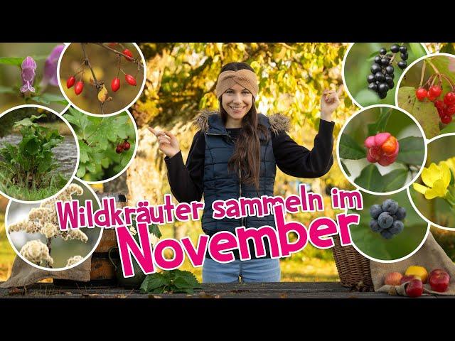 Die besten Wildkräuter im November  mit giftigen Beeren ️ #wildkräuter #garten #heilpflanzen