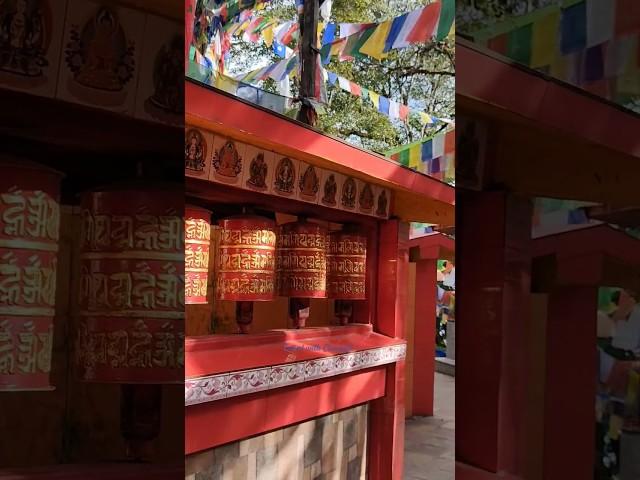 Jiya Jale | Dil Se | Travel in kailash  temple#japaneseculture #temple #derjeeling #durgamaa #travel