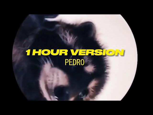 PEDRO - Raffaella Carrà Remix | 1 HOUR VERSION (TikTok Trends 2024)