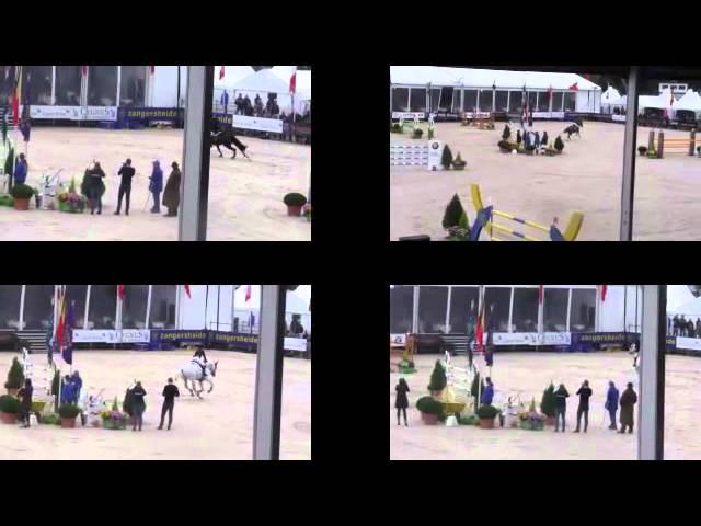 Euphony Prix, Fei Zangersheide Sires of the World, Video barrage