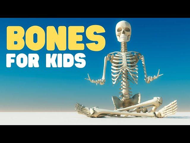 Bones for Kids | Learn about the Skeletal System for Kids