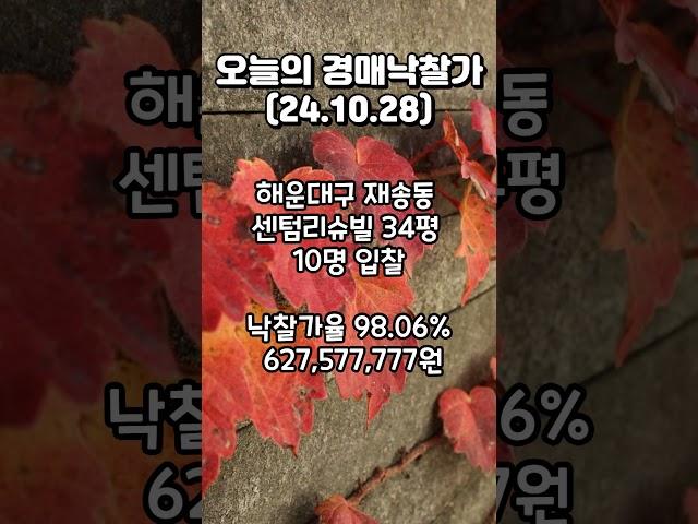 [오늘의 경매낙찰가]2024.10.28 #부산부동산  #부산경매 #아파트경매