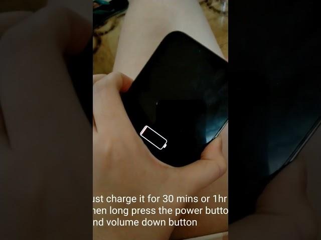What to do when "iPhone is Findable" and won't charge