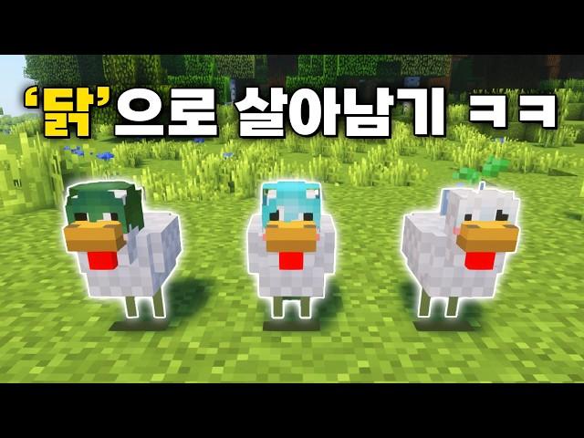 마인크래프트 속 '닭'이 된 상태로 하루종일 살아남기
