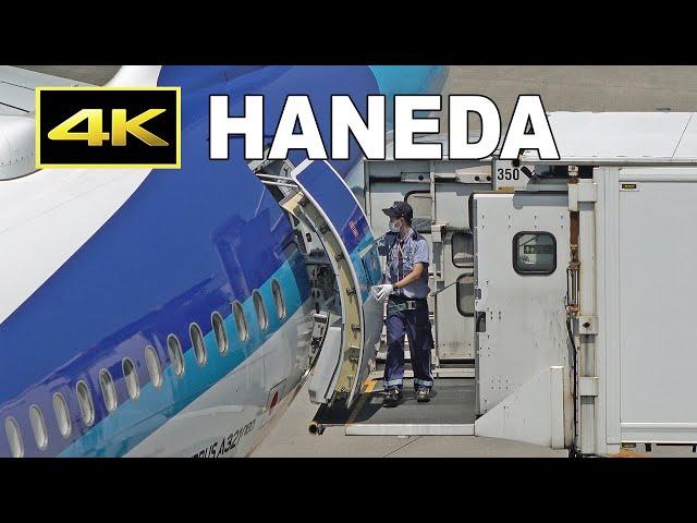 [4K] Ground handling / 飛行機はパイロットだけでは飛ばせません (2) / Tokyo Haneda Airport Terminal 2 / 羽田空港 ANA