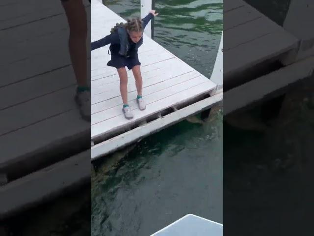 Not all Lake Geneva mail deliveries are successful  (via @cruiselakegeneva/TT) | #shorts