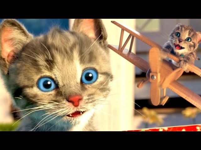 MY LITTLE KITTEN ADVENTURE - LONG SPECIAL CARTOON CAT AND ANIMAL FRIENDS HEED A HOME