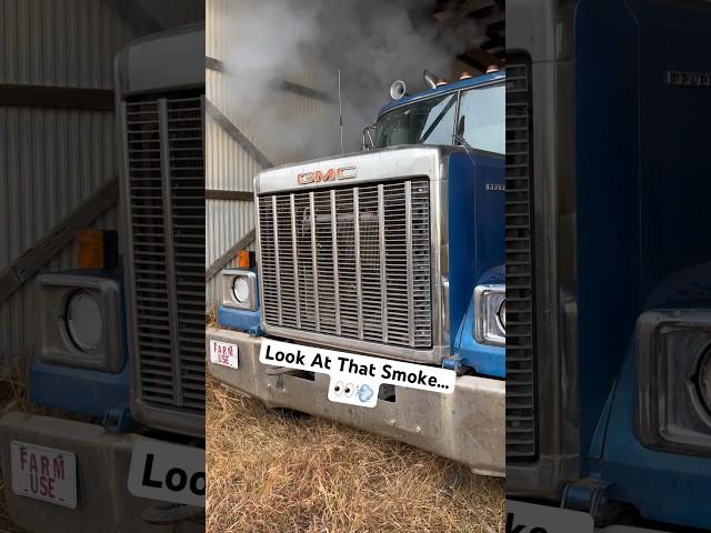 1984 GMC General Cold Start  #farming #coldstart #bigrig #cummins #2023