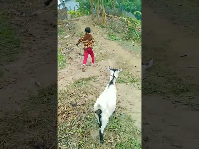 fhbe shrzfb dhfkerj sjgurj gfhsud shdhehj sgvdhddb dhfjue rhzijrjen d jdrhrh shgjjrjd dhdjdjjg