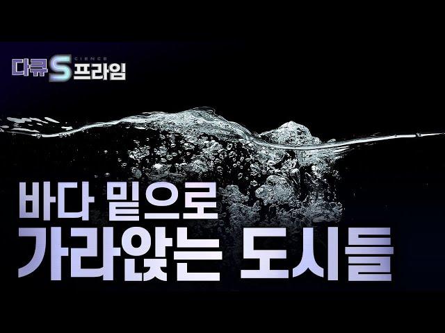 [다큐S프라임] 해수면 상승 문제..더 이상 미래의 일이 아니다! 사라지는 빙하의 습격이 부산, 인천, 미국까지? 지구촌이 바다에 잠기게 된다면 / YTN 사이언스