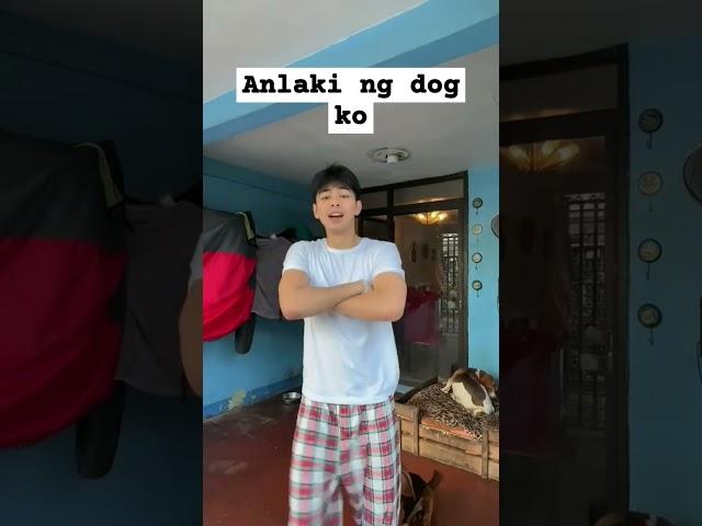anlaki ni doggy ko #shan #shanvesagas #svesagas #esnyr #shorts  #fyp