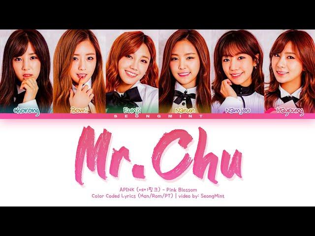 APINK (에이핑크) – Mr. Chu (Lyrics Color Coded Han/Rom/PT-BR)