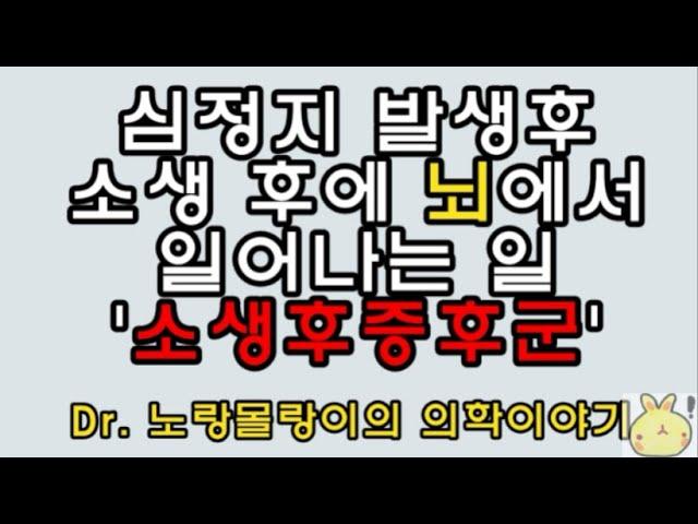 심정지 시 뇌혈류/산소분압 감소와 뇌손상, 소생후증후군(Post resuscitation/cardiac arrest syndrome)