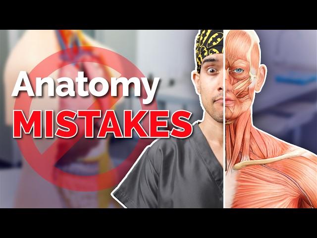 Studying Anatomy? Don’t Make These Mistakes! 