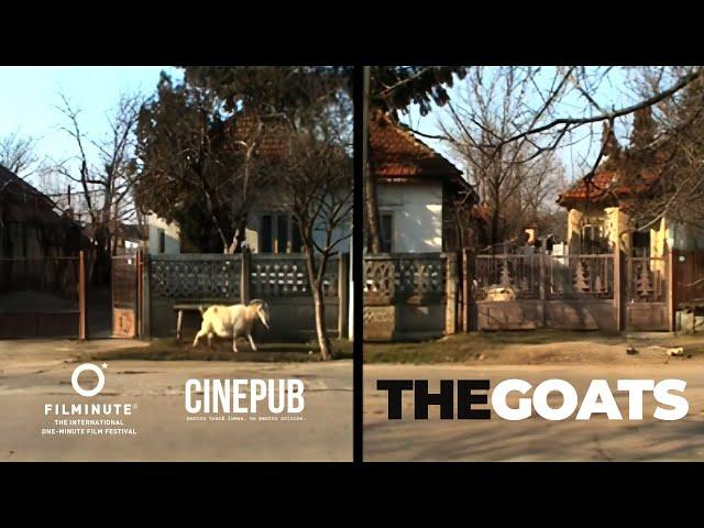 THE GOATS | FILMINUTE & CINEPUB