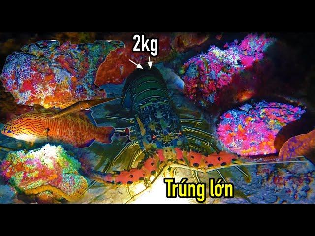 LẶN BIỂN TRƯỜNG SA TẠI ĐÁ BA ĐẦU VIỆT NAM | TRÚNG ĐẬM HẢI SẢN CÁ MẶT QUỶ | TÔM HÙM CỰC ĐÃ
