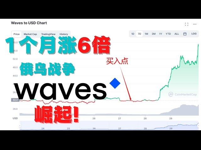 35期：Waves公链崛起！一个月涨6倍！无风险稳定币APR20%！俄乌战争如何影响Waves？Waves.exchange如何将传统金融圈用户成功转化为Crypto&DeFi用户！