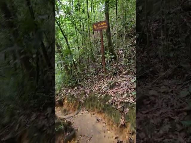 Klong Plu water fall