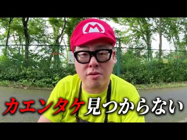 毒キノコ(カエンタケ)を探しに行ってリスナーのメールにキレ散らかしました