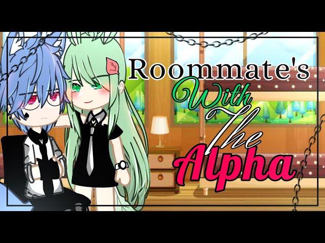 Roommate's With The Alpha||GCMM/GCM||-Bad Grammar