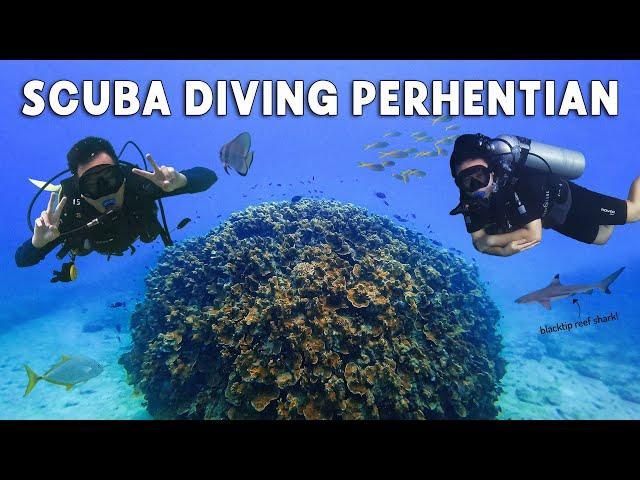 Is this Malaysia's most underrated diving spot?! Perhentian Islands (a beginner-friendly dive spot)