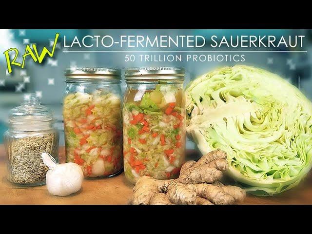 LACTO FERMENTED CABBAGE (Raw Sauerkraut)  Beginner Friendly!