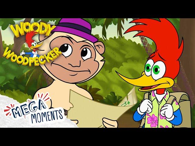 Woody the Treasure Hunter!  | Woody Woodpecker | Compilation | Mega Moments