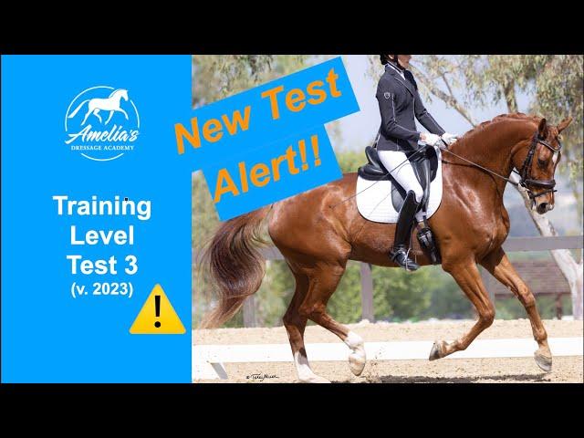 Training Level Test 3 version 2023