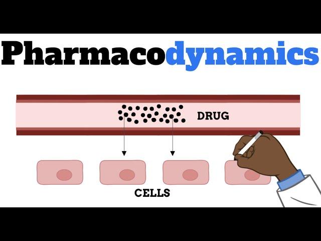 Pharmacodynamics MADE EASY FOR BEGINNERS