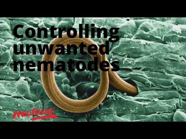 Neutrog TV | Controlling unwanted nematodes in your garden + WhoFlungDung