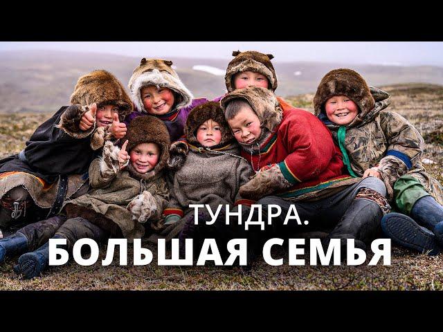 Tundra. The big family | Documentary