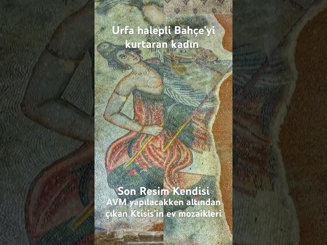 Urfa Haleplibahçe’yi kurtaran kadın ￼