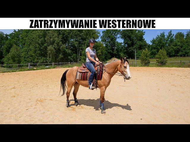 Kurs jazdy western - jak nauczyć konia zatrzymywać się na "Whoa"?