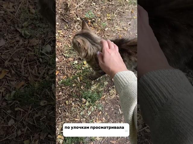 Иногда бывают и такие пары, они очень радуют…                          #институт #перепоступление