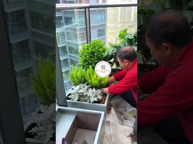 This Simple Balcony Garden Changed Everything for Me 
