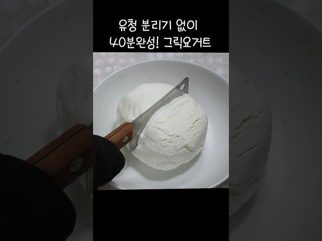 유청분리기 없이 그릭요거트 만들기! 40분완성!