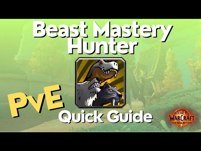 BM Hunter The War Within Guide - TWW Season 1