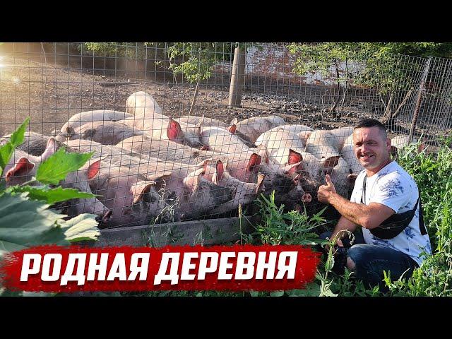 Родная деревня | Орловская обл, Колпнянский район с.Ушаково