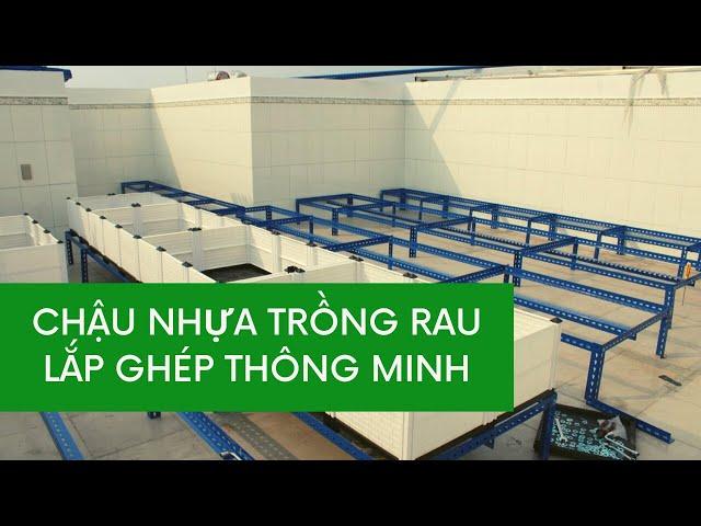 Chậu trồng rau - lắp ghép thông minh