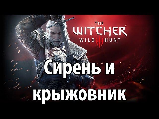 The Witcher 3: Wild Hunt - Сирень и крыжовник