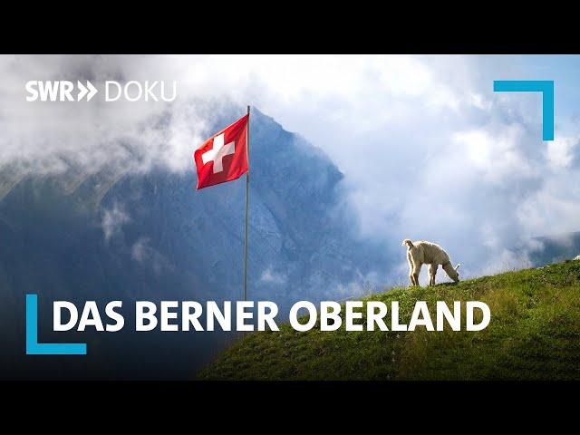 Das Berner Oberland – Ein Sommer in den Schweizer Alpen | SWR Doku