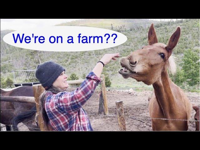 The Bad Back Packers visit the Kind Care Farm in Colorado