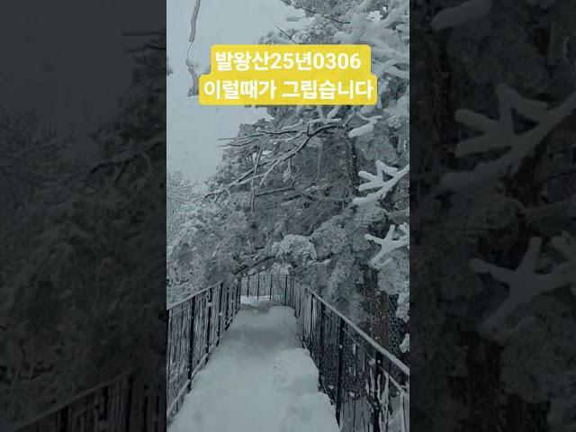 발왕산 상고대 250306 더위야 가거라