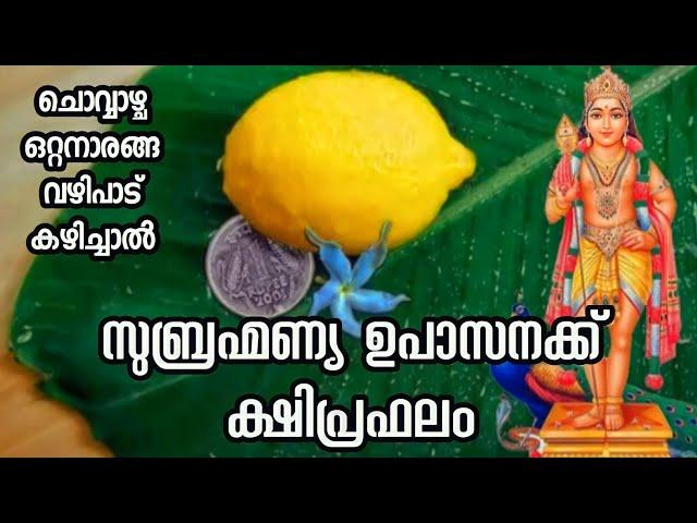 സുബ്രഹ്മണ്യ ഉപാസനക്ക് ക്ഷിപ്രഫലം | മുരുകന്റെ വഴിപാടുകൾ | Astrology | Jyothisham | Lord murugan